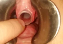 Nijeryalı sisman karilarin pornosu lanet