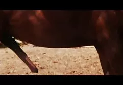 Lezbiyen şişman türk anal yapay penis eğlenceli