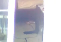 Bir arabada yüz ile şişman brazzers Busty kız arkadaş anal